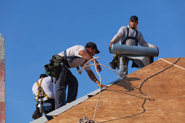 Best Metal Roofing Contractor  in Lightstreet, PA